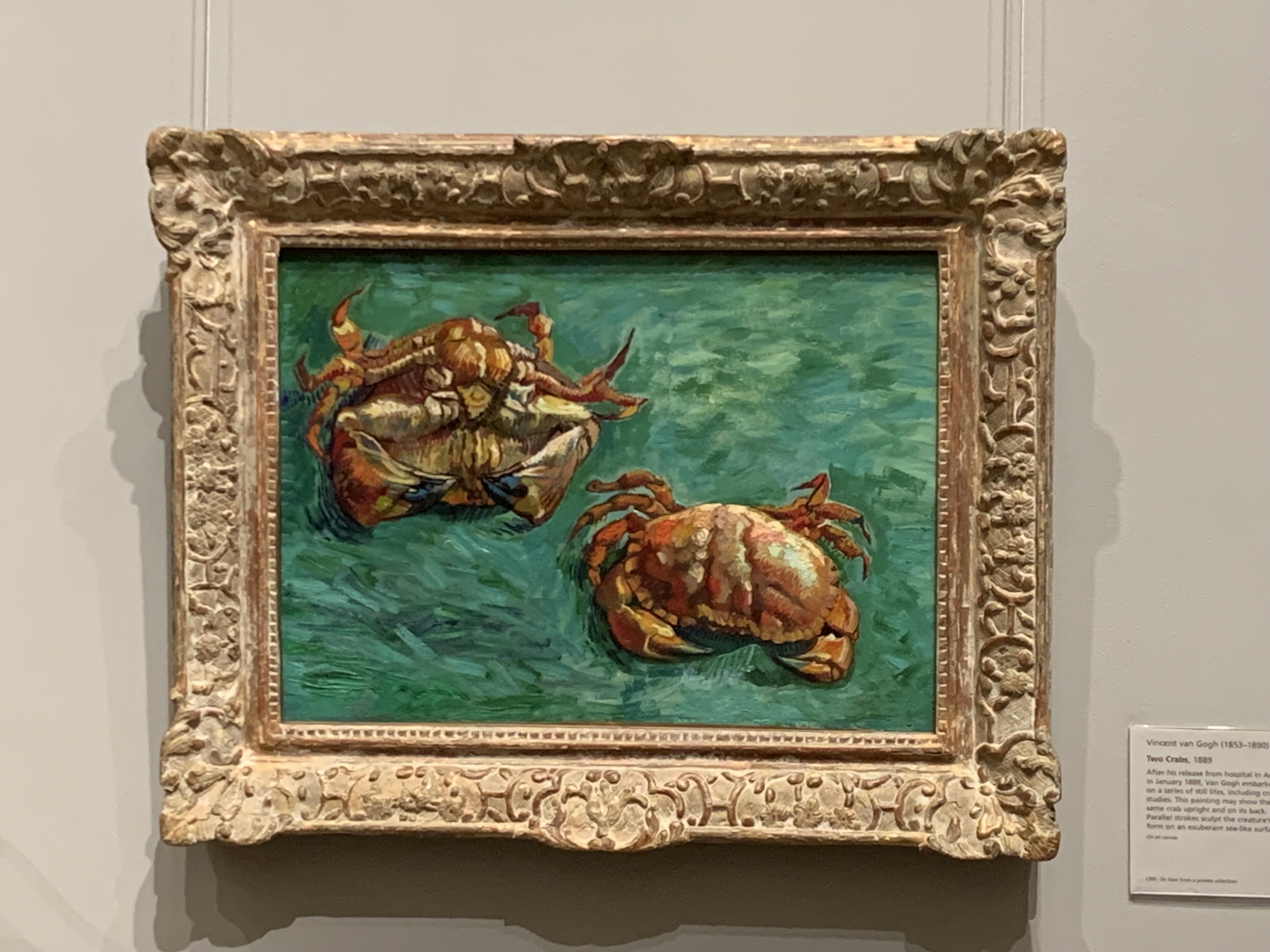 IMG_0309.jpeg