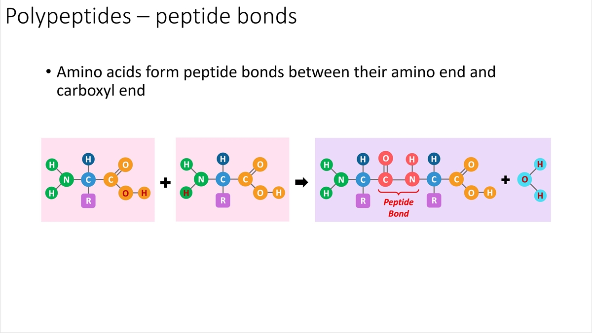 Biology1.JPG