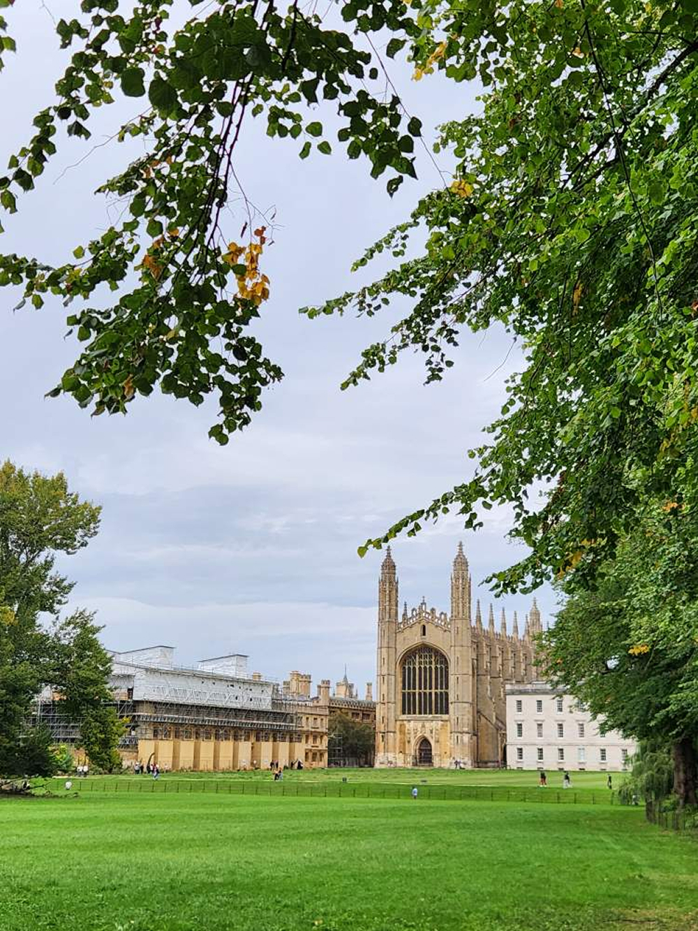 image 13.jpg