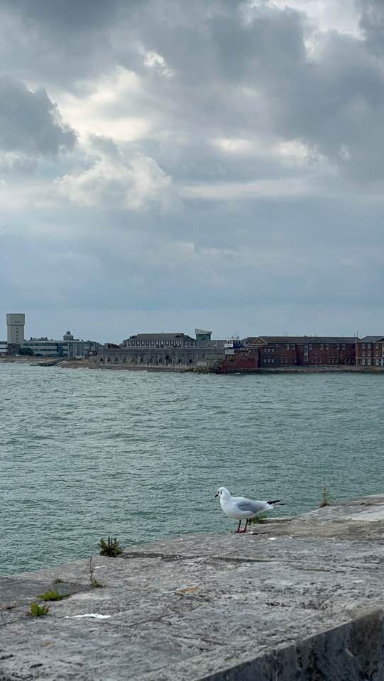 KakaoTalk_Photo_2025-11-02-17-19-00 002jpeg.jpeg