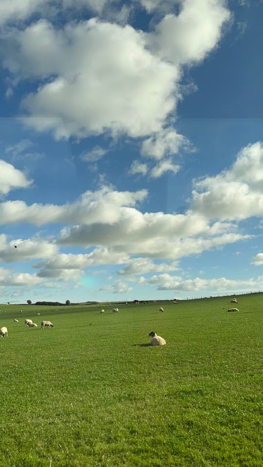 KakaoTalk_Photo_2025-11-16-15-10-53 002jpeg.jpeg