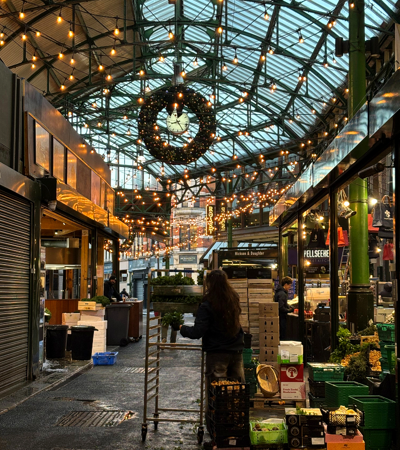 브리스톨 5번.png