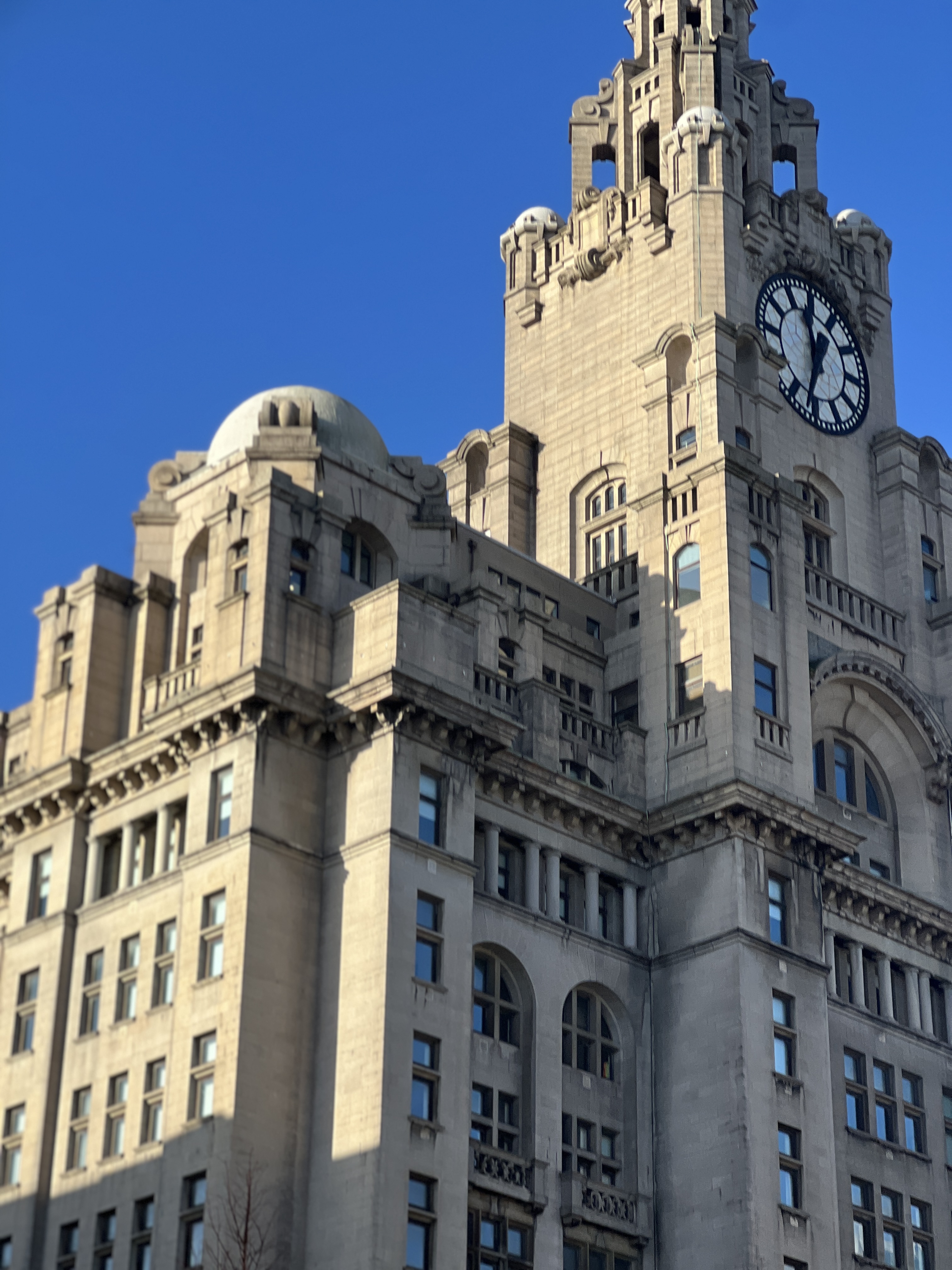 KakaoTalk_Photo_2026-01-31-15-47-57 001.jpeg