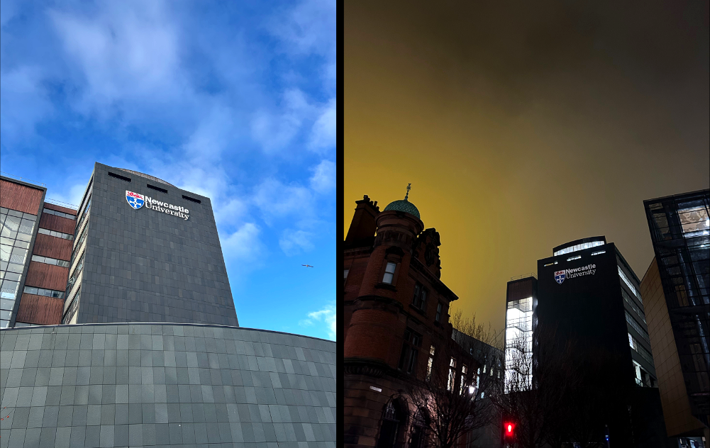 뉴캐슬 여정 7.png