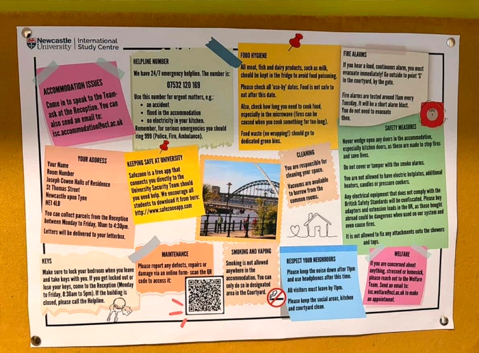 뉴캐슬 여정 10.png