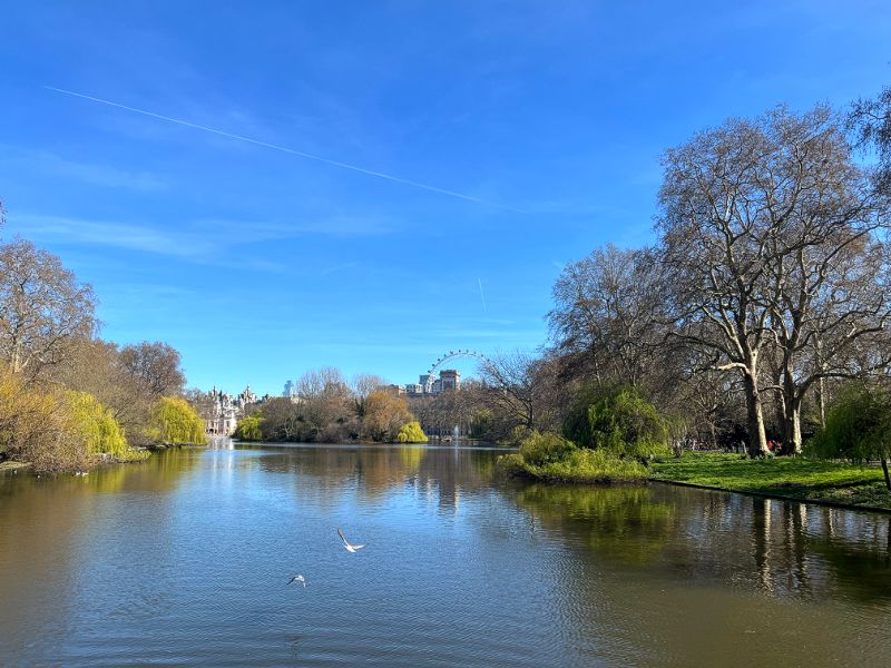 주말 나들이2.jpg