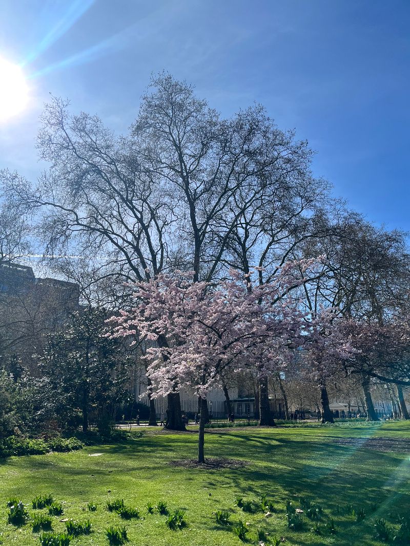 주말 나들이3.jpg