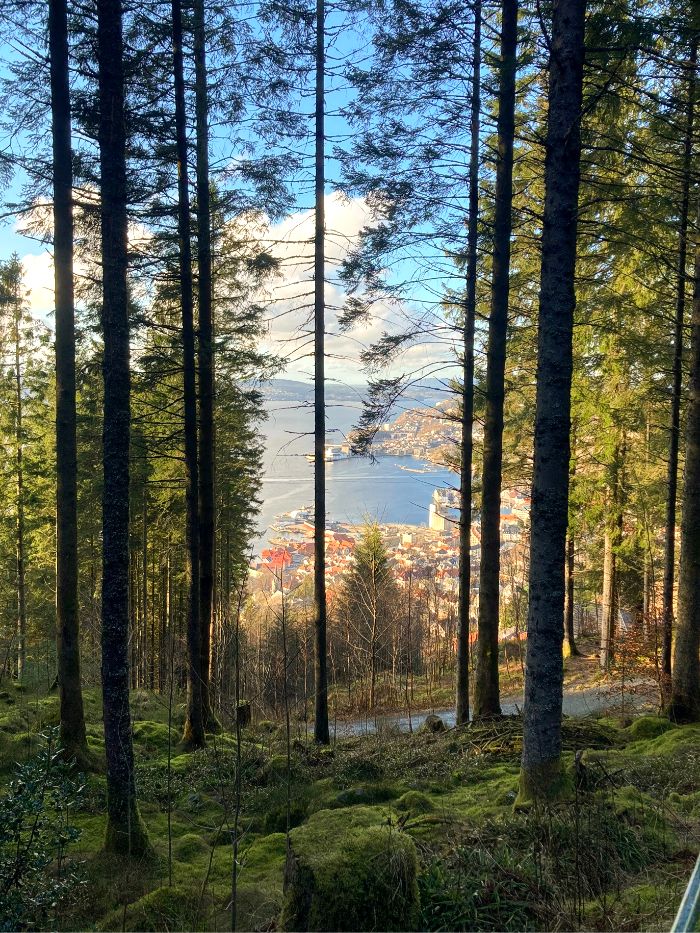 노르웨이 3.jpg