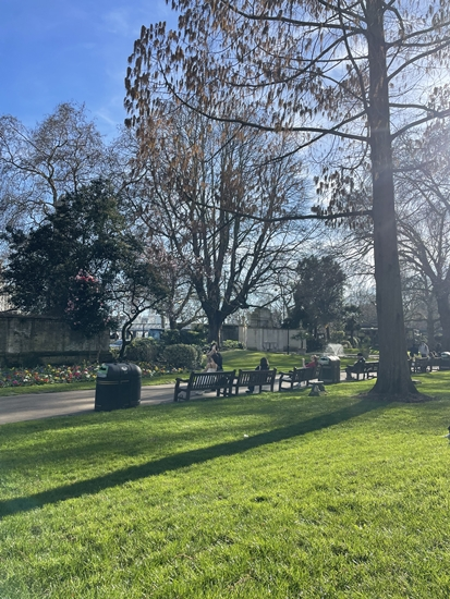 세인트 5.png