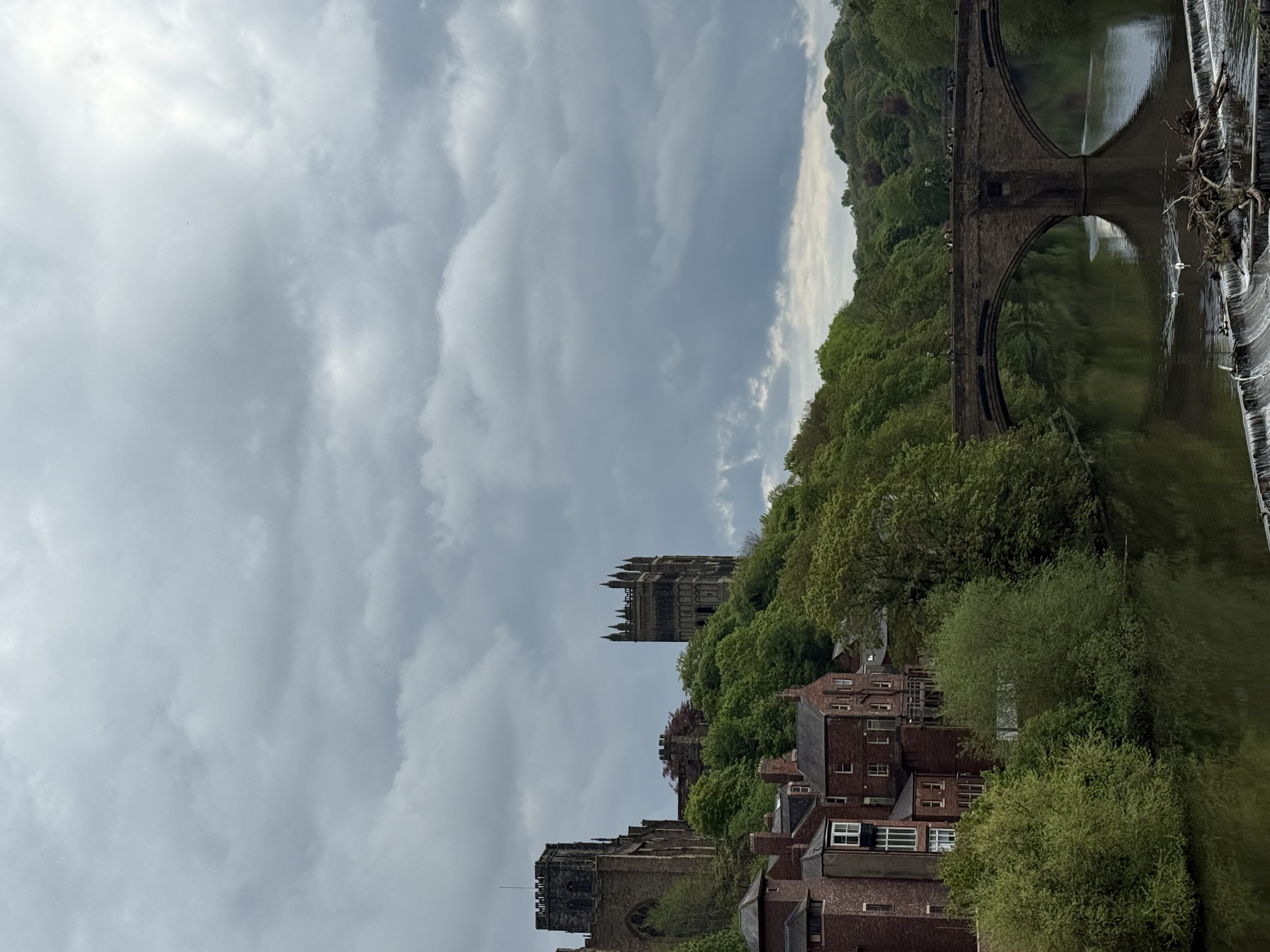 IMG_1455.jpeg