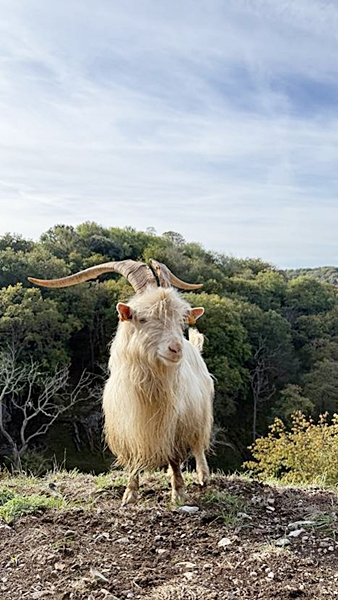 그림8.jpg