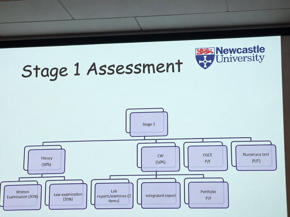 newcastle_03_assessment_longedge1000_under900kb.jpg