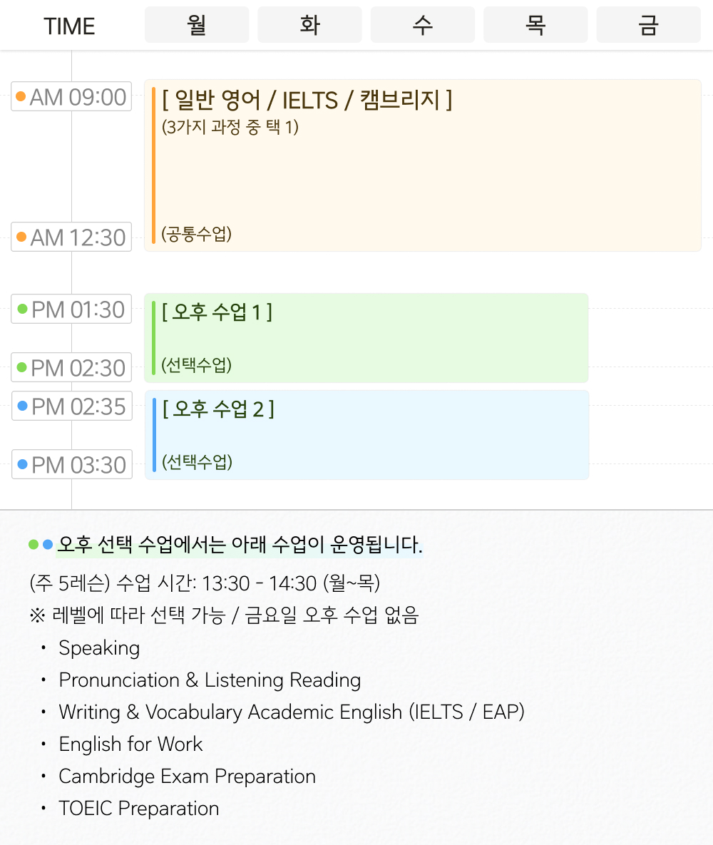 ELC 브라이튼.jpg